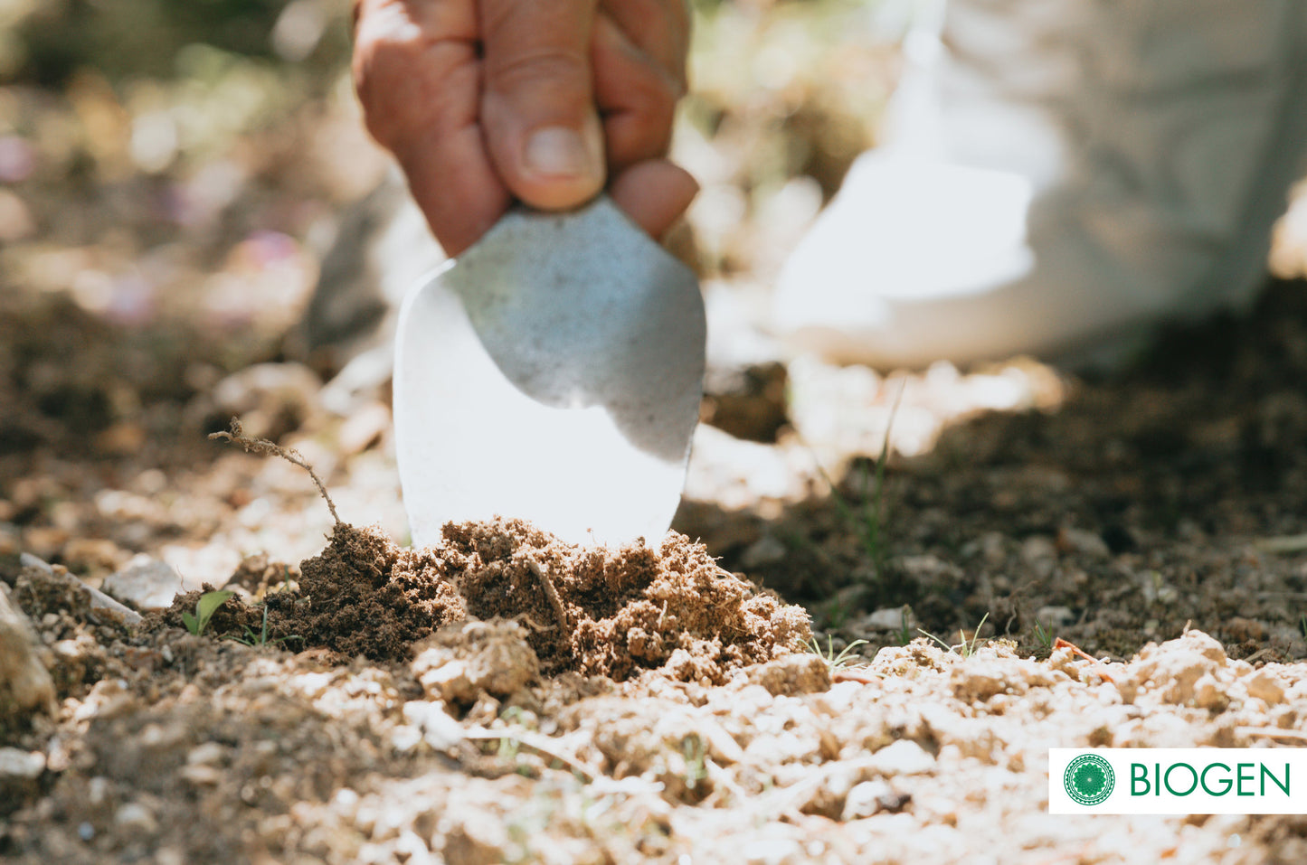 TERRAFLEX Descompactador de Suelos