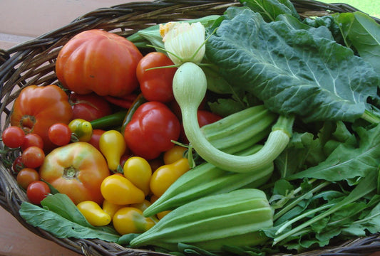 Fertilizante Orgánico Uso Directo Residencial